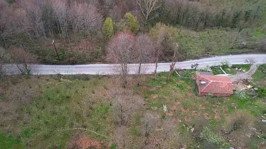 Zonguldak ormanları ilkbaharı renkleriyle karşılıyor
