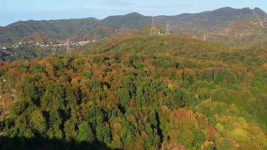 Zonguldak ormanlarında sonbahar renkleri havadan görüntülendi