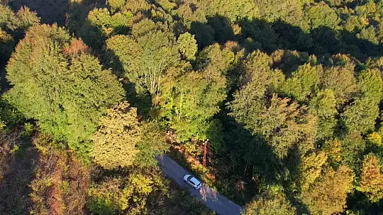 Zonguldak ormanlarında sonbahar renkleri havadan görüntülendi