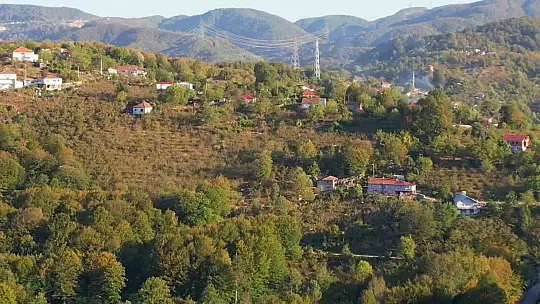 Zonguldak ormanlarında sonbahar renkleri havadan görüntülendi
