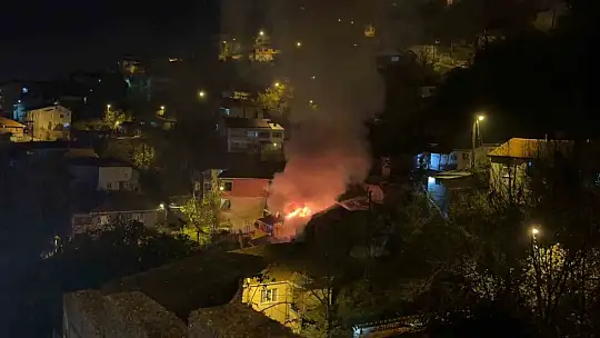 Zonguldak'ta alevler geceyi aydınlattı, itfaiye papağanı yangın ortasından kurtardı