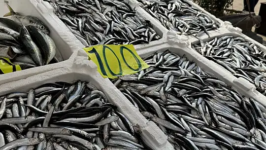 Zonguldak'ta balık tezgahlarında Ramazan mesaisi hamsi 100 liradan satılıyor