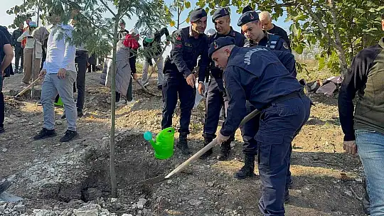 Zonguldak'ta fidan diktiler