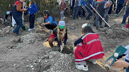 Zonguldak'ta fidan diktiler