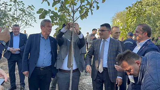 Zonguldak'ta fidan diktiler