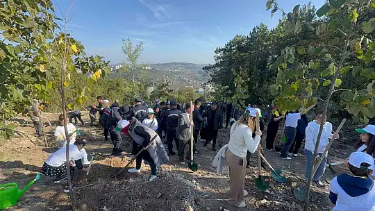 Zonguldak'ta fidan diktiler