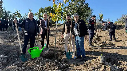 Zonguldak'ta fidan diktiler
