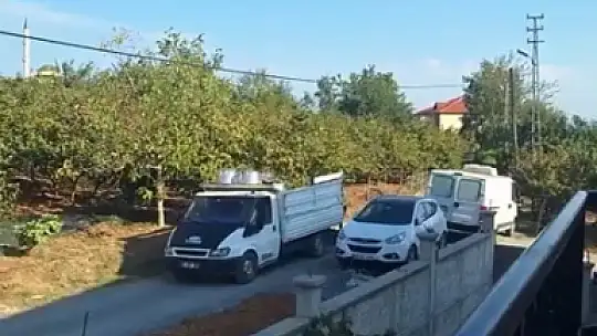 Zonguldak'ta fındık hasında köylüler fındık toplayıcıların gürültüsünden şikayetçi