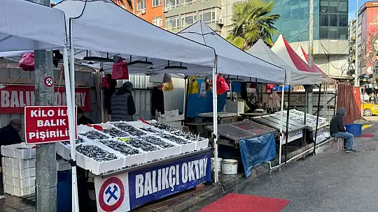 Zonguldak'ta hamsi 150 liradan alıcı buldu