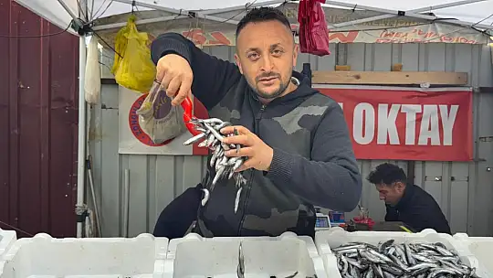 Zonguldak'ta hamsi 150 liradan alıcı buldu