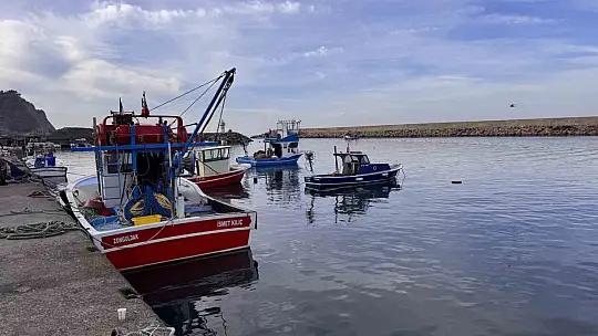 Hamsi yoğunluğu yaşandı, palamut çıkmadı