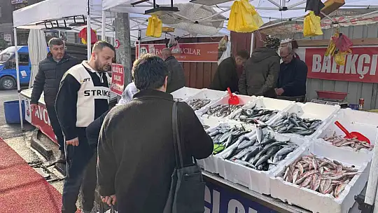 Hamsi yoğunluğu yaşandı, palamut çıkmadı