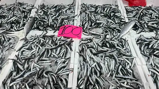 Zonguldak'ta hamsinin fiyatı 100 liraya düştü