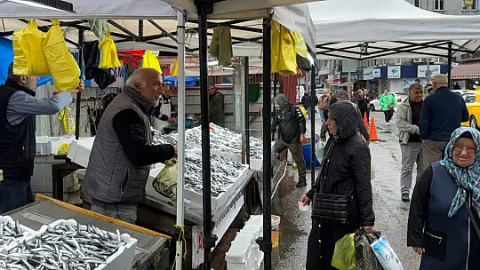 Zonguldak'ta hava şartları hamsi fiyatını yükseltti