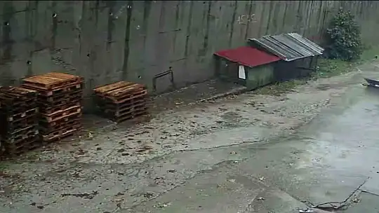 Zonguldak'ta istinat duvarının çöktüğü anlar kamerada: Köpekler telef oldu, 2 araç enkaz altında kaldı