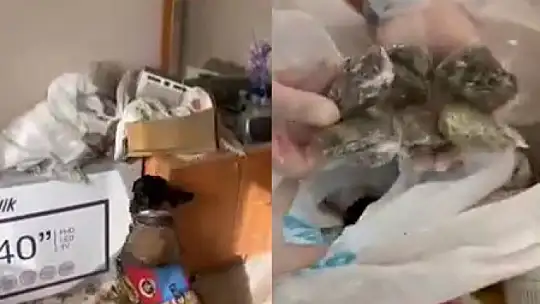 Zonguldak'ta jandarmadan üç ayrı narkotik operasyonu, 3 şüpheli yakalandı