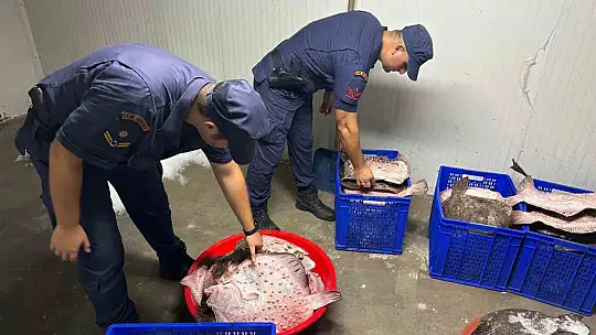 Zonguldak'ta kaçak kalkan avcılığına operasyon