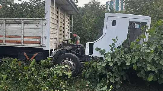 Zonguldak'ta kamyonet fındık bahçesine uçtu: Araçtan fırlayan sürücü öldü
