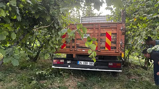 Zonguldak'ta kamyonet fındık bahçesine uçtu: Araçtan fırlayan sürücü öldü