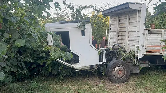 Zonguldak'ta kamyonet fındık bahçesine uçtu: Araçtan fırlayan sürücü öldü