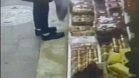 Zonguldak'ta kuruyemişçiden ceviz hırsızlığı güvenlik kamerasında