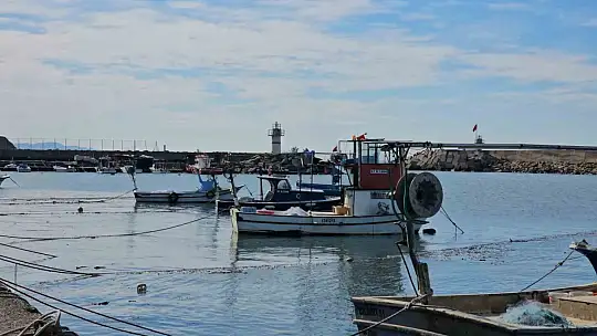 Zonguldak'ta limandan 500 ton hamsi çıktı