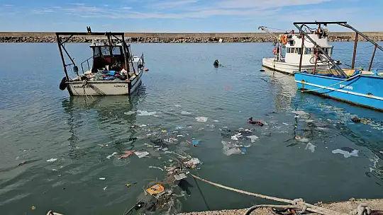 Zonguldak'ta limandan 500 ton hamsi çıktı