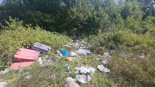 Ormanlık alana atılan cam şişeler yangın riski oluşturdu
