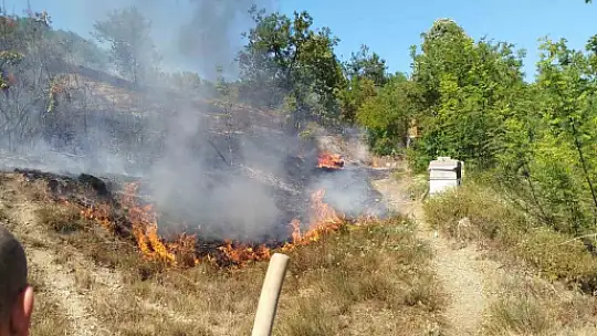 Zonguldak'ta ormanlık alanda çıkan yangına ekipler müdahale etti