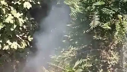 Zonguldak'ta ormanlık alanda çıkan yangın söndürüldü