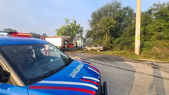 Zonguldak'ta park halindeki araç alevlere teslim oldu