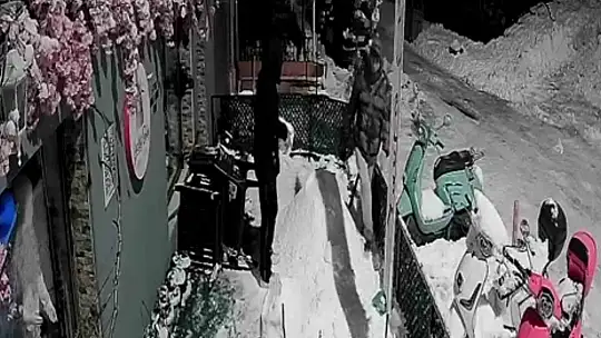 Kardan adamı dövdüler