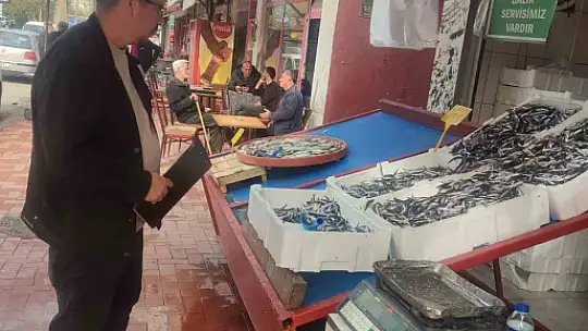 Zonguldak'ta su ürünleri denetimleri sürüyor
