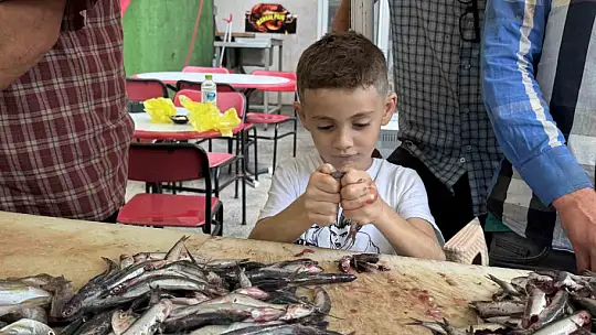 Zonguldak'ta tezgahlar balıkla şenlendi