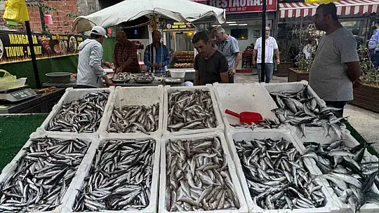 Zonguldak'ta tezgahlar balıkla şenlendi