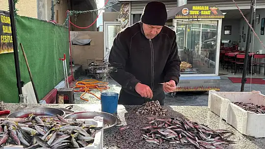 Zonguldak'ta tezgahlar istavritle şenlendi