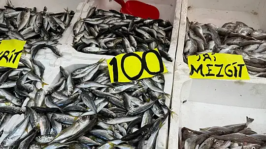 Zonguldak'ta tezgahlarda istavrit bolluğu: Kilosu 100 liradan satılıyor