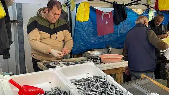 Zonguldak'ta tezgahtaki hamsi yerini diğer çeşit balıklara bırakıyor