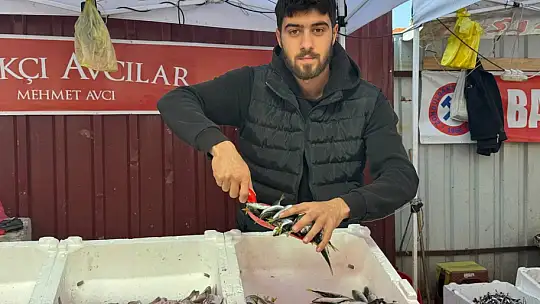 Zonguldak'ta tezgahtaki hamsi yerini diğer çeşit balıklara bırakıyor