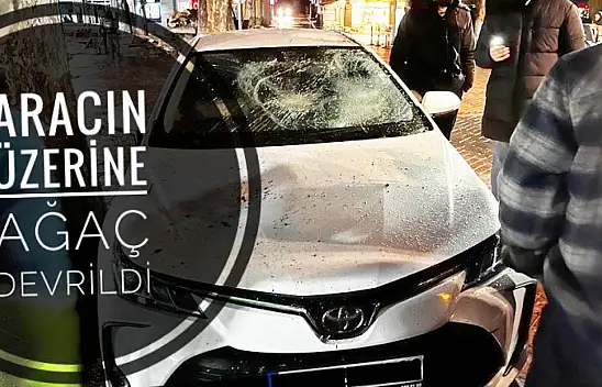 Aracın üzerine devrildi