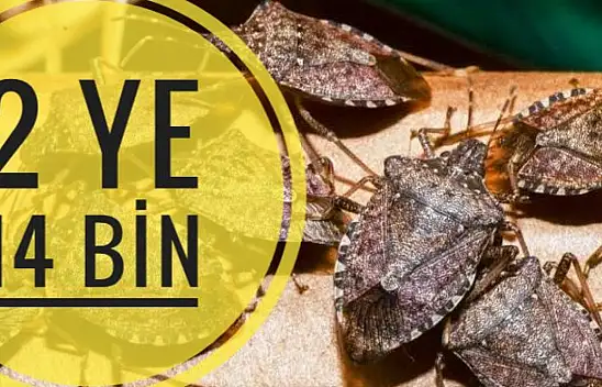 Bu günler iyi günlerimiz