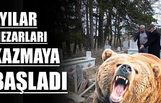 Cenazeleri jiletli telle korumaya çalışıyorlar
