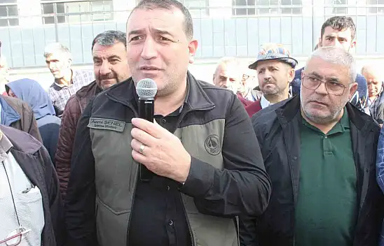 Ücret ödemeyenler ormandan kestane toplayamayacak