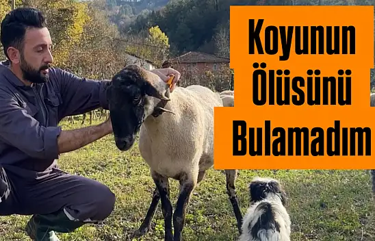 Kurt saldırısını görüntüledi o anları anlattı