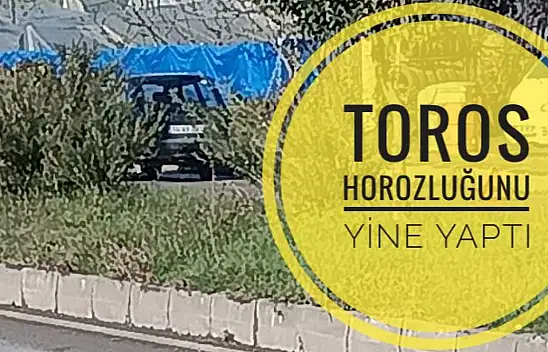 Yeni Bir Toros Klasiği