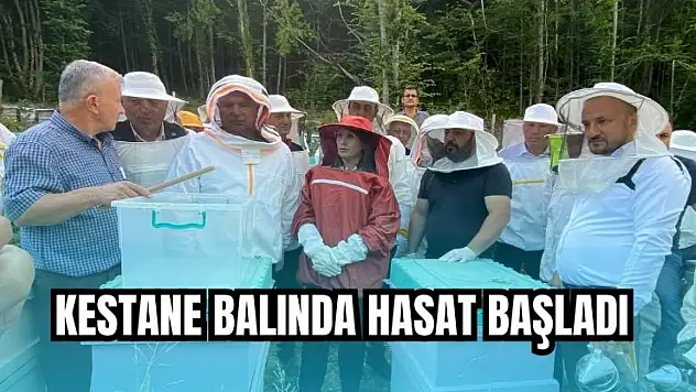 40 bin kovanlı arıyla 360 ton üretim