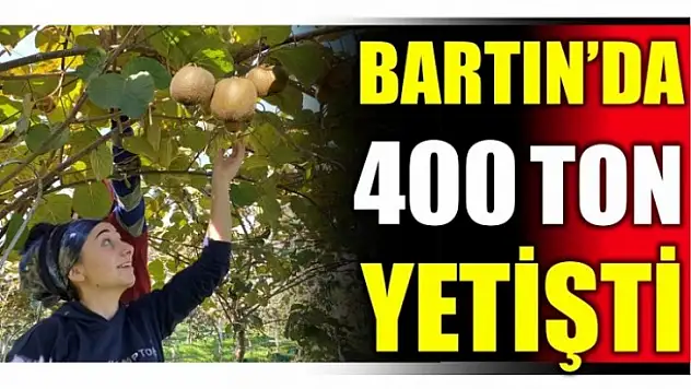 400 ton yetişti...