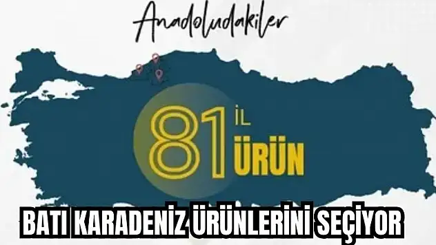 81 İl 81 ürün