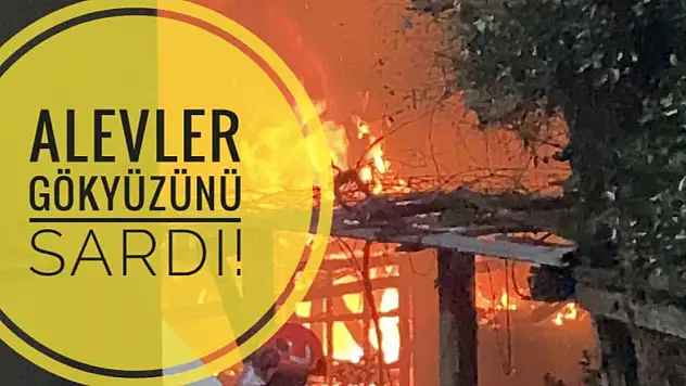 ALEVLER GÖKYÜZÜNÜ SARDI!