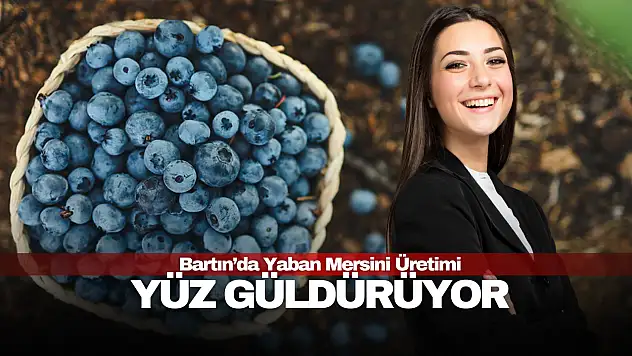 Yaban Mersini Üretimi Yüz Güldürüyor